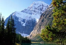 包含北京兒研所"黃牛掛號一般多少錢"的詞條